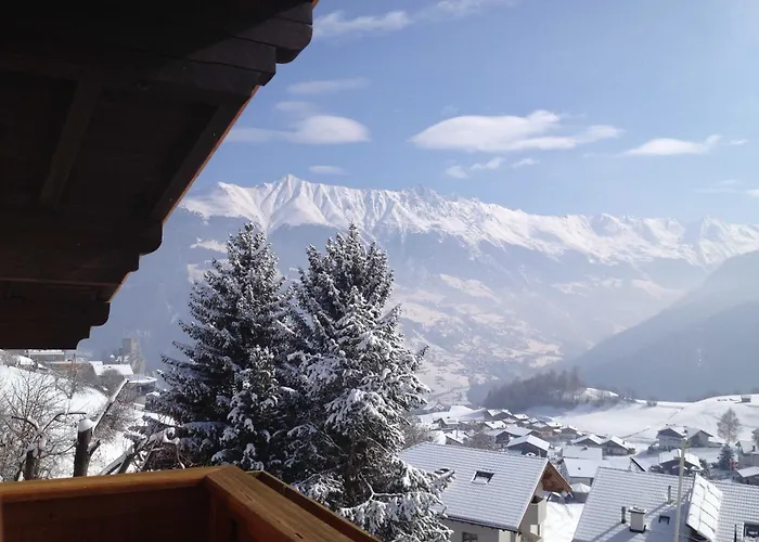 Razil Xo 招待所 拉迪斯